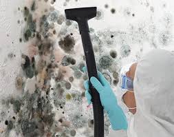 Best Mold Remediation for Healthcare Facilities in Mount Union, PA